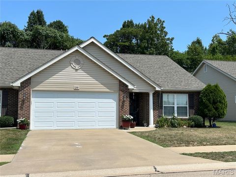 Photo of 39 Parkville Lane, Festus, MO 63028 (MLS # 26044757)