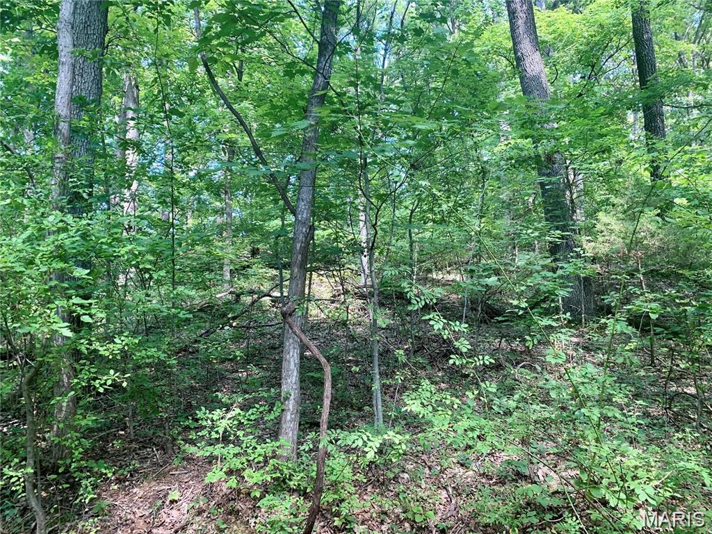 Dogwood Acres - Land