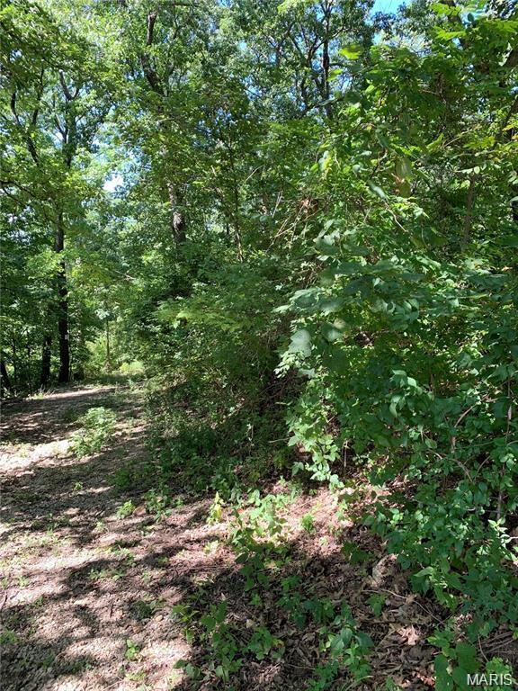 Dogwood Acres - Land