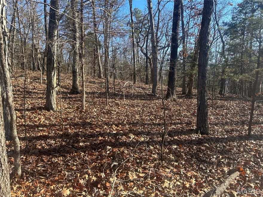 This 23.4-acre wooded property near the Mark Twain National Forest offers a fantastic opportunity for outdoor enthusiasts and nature lovers.  With a deeded easement via gravel road off Madison CR 411, the property features natural rock outcroppings, cleared log landings from selective timber harvests, and preserved natural beauty. The versatile lot is ideal for hunting, camping, off-grid living, or ATV riding, making it a perfect retreat with endless possibilities for recreation and solitude.  Property is part of a larger tract.  Lot to be surveyed before closing.  Additional acreage available.  Seller offering surveying, see the document with survey pricing.