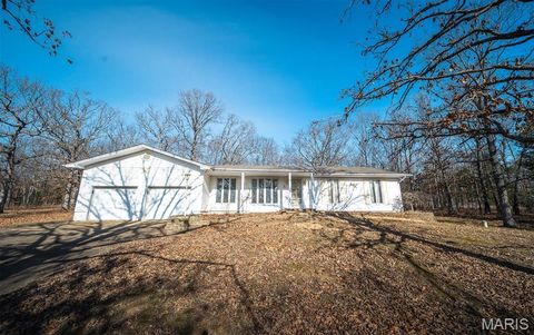 Photo of 1561 Notre Dame Drive, Bonne Terre, MO 63628 (MLS # 25081792)