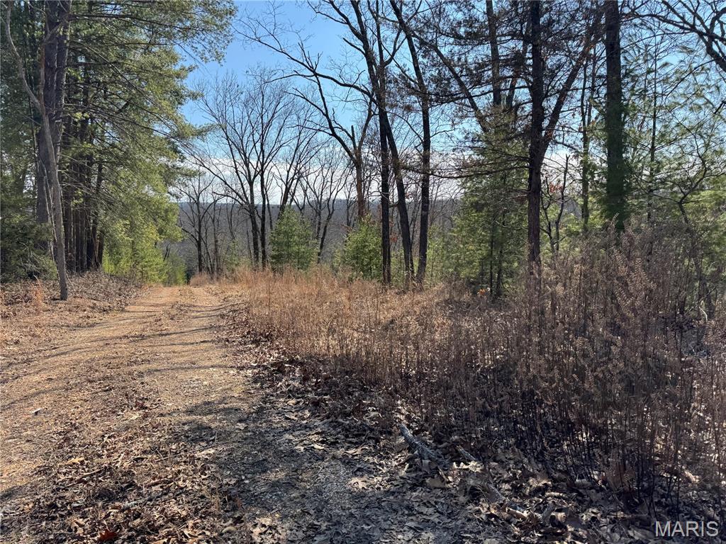 224 Chapel Park Drive