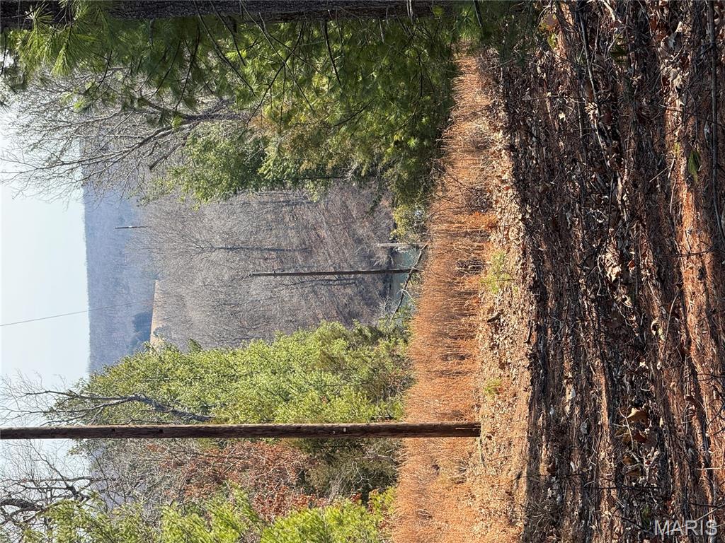 224 Chapel Park Drive