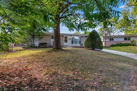 420 Humes Lane Florissant MO 63031