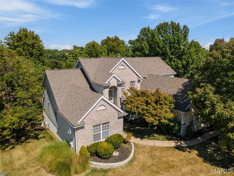 Photo of 16757 Benton Taylor Drive, Chesterfield, MO 63005 (MLS # 25063051)