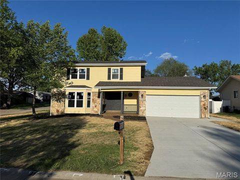 Photo of 832 Summerview Drive, St Charles, MO 63304 (MLS # 26022968)