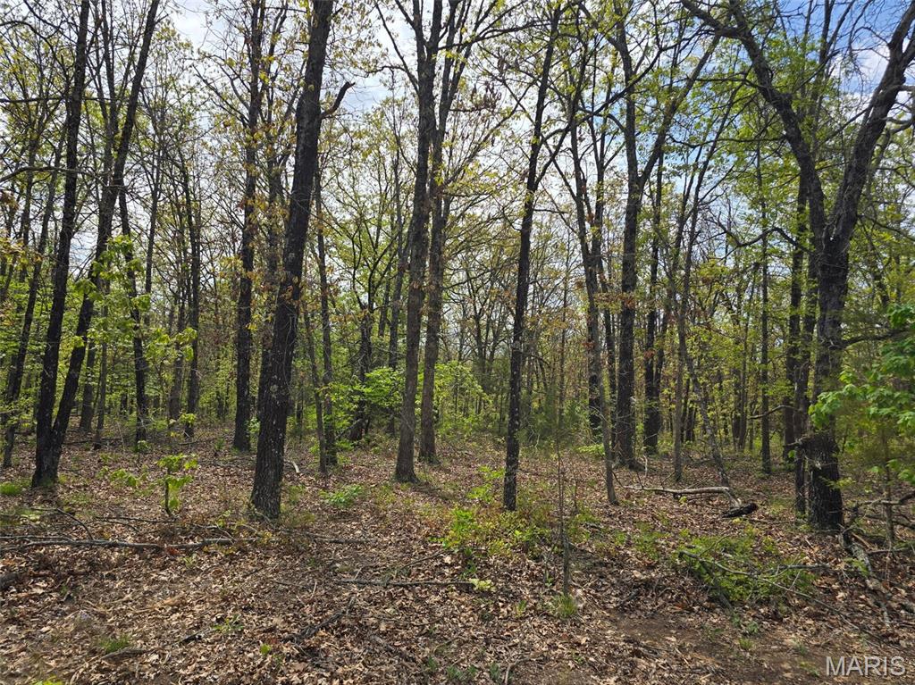 Greatview Lane - Land