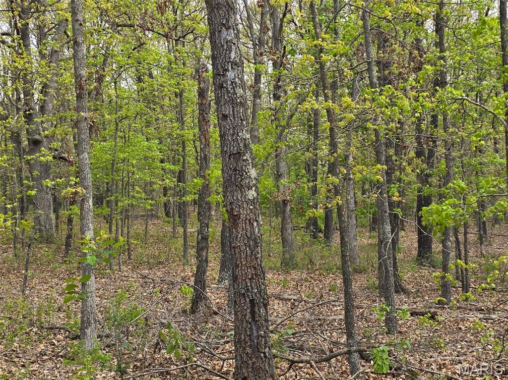 Greatview Lane - Land