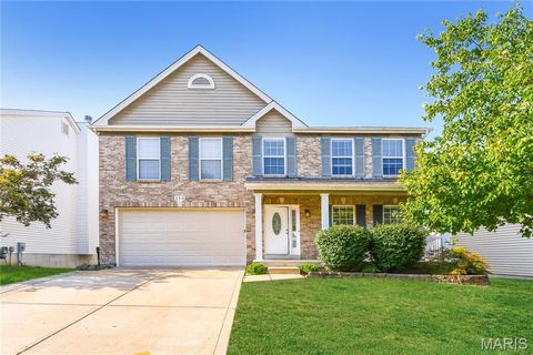 Photo of 3316 Walworth Way Drive, Mehlville, MO 63129 (MLS # 26039154)