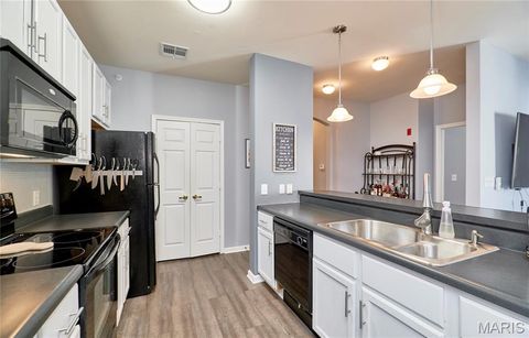 Tiny photo for 37 Kassebaum Lane #203, St Louis, MO 63129 (MLS # 26008787)