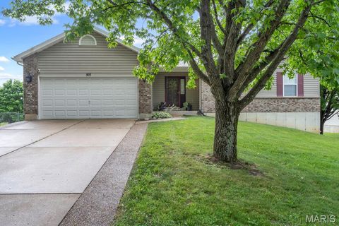 507 Woolf Road Warrenton MO 63383