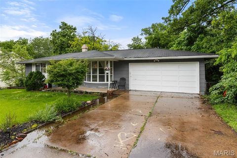 Tiny photo for 405 Oak Tree Drive, Webster Groves, MO 63119 (MLS # 26024262)