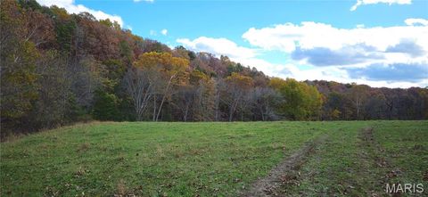 Photo of 205 County Road 6550, Salem, MO 65560 (MLS # 25073309)