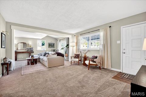 Photo of 277 Ramsey Lane, Ballwin, MO 63021 (MLS # 25070038)