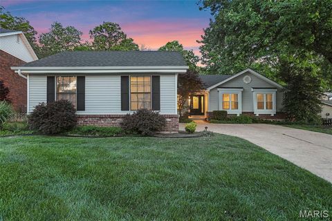 Photo of 876 Sugar Hill Drive, Manchester, MO 63021 (MLS # 26024507)