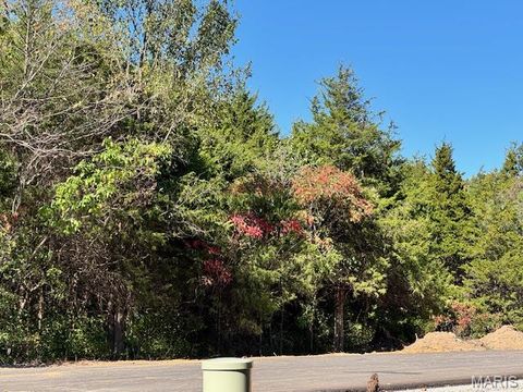 105 Anna Court Wright City MO 63390