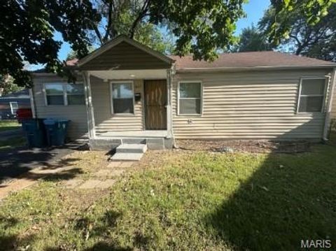 Photo of 627 Ferguson Avenue, Ferguson, MO 63135 (MLS # 26037942)