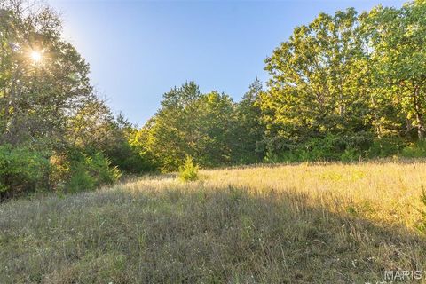 Tiny photo for 4025 Juedeman Road, Cuba, MO 65453 (MLS # 25068661)