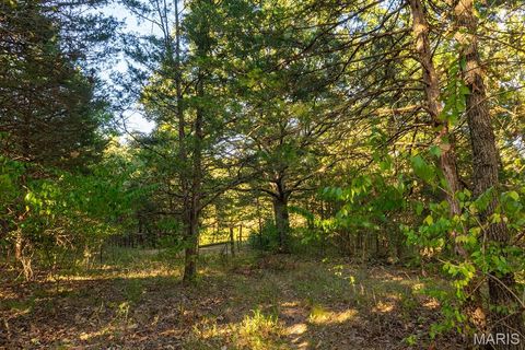 Tiny photo for 4025 Juedeman Road, Cuba, MO 65453 (MLS # 25068661)