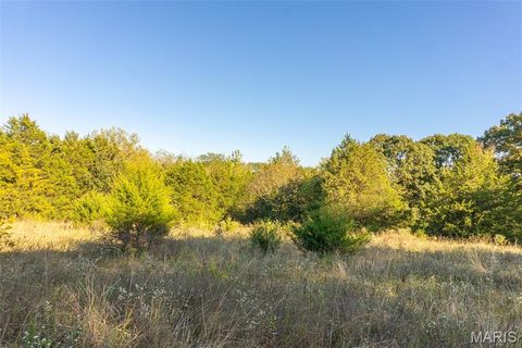 Tiny photo for 4025 Juedeman Road, Cuba, MO 65453 (MLS # 25068661)