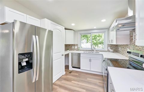 Tiny photo for 10635 Ridge Avenue, St Louis, MO 63114 (MLS # 26029407)