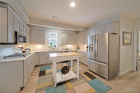 Tiny photo for 16900 Red Dragon Place, Wildwood, MO 63011 (MLS # 26010456)