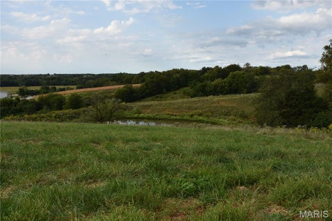 Tiny photo for 7988 Elder Lane, Palmyra, MO 63461 (MLS # 26058411)