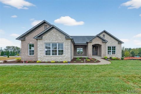 11906 Santino Court Creve Coeur MO 63141