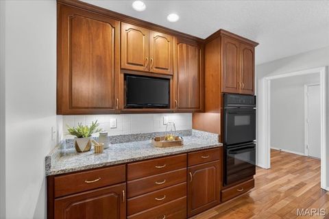 Tiny photo for 395 Royal Valley Drive, Creve Coeur, MO 63141 (MLS # 26024473)