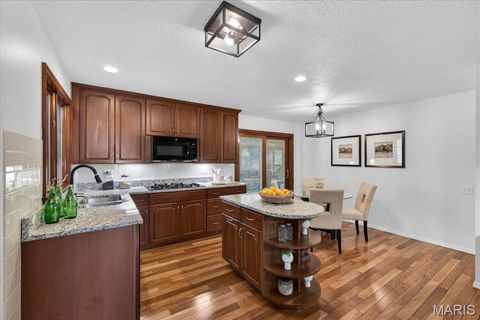 Tiny photo for 395 Royal Valley Drive, Creve Coeur, MO 63141 (MLS # 26024473)