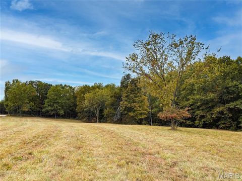 Tiny photo for 16 +/- Acres Sunset Trails, Warrenton, MO 63383 (MLS # 25069990)