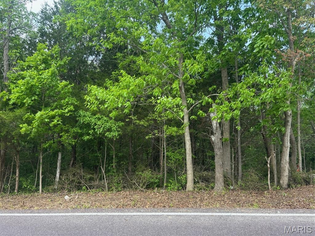 Photo of 3392 Lynch Rd, Pacific, MO 63069 (MLS # 26024998)