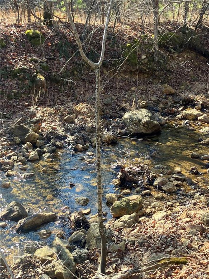 A spring creek runs through it! This hidden valley Ozark hideaway sits within about a mile of Mark Twain National Forest. 
The wooded property borders a spring-fed stream and comes with NO restrictions, and there's a nice deeded easement road leading from the county road to the property.
Properties with a year-round water source are popular with homesteaders and preppers. Knowing you have a source of water come what may is a great feeling of confidence. 
Hunt, camp, build, ride ATVs on your own land. And you're just a short distance from the much larger 12 Mile Creek. 
This property is wooded and rolling. You are within a mile of the 22,176-acre Mark Twain National Forest ... public ground where you can also hunt, ride and explore. All this, and only about 2 miles from U.S. 67.
Use this wooded, secluded property as a base camp for adventure. This and surrounding land is teeming with deer, turkey and small game, and the occasional feral hog or maybe a black bear.
There is additional acres available which adjoin this piece if interested.