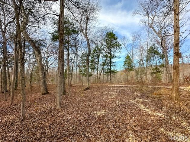 Ethan's Landing - Land