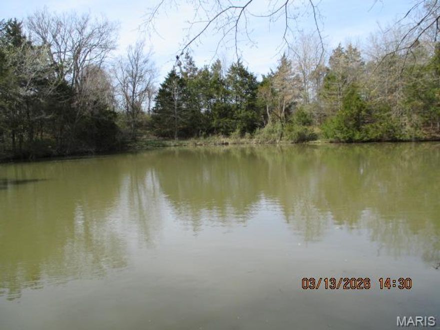 If you are looking for a great Turkey and Deer hunting property, land investment, a hobby farm, or excellent building site, then this property is right down your alley! Situated in Northern Perry County, MO, is a beautiful tract of land with approx. 580 feet of road frontage on PCR 910,  a large pond to fish in, marketable timber, and room for many other possibilities. Electric and Water will be available should you want to build your dream home, or a cabin in the woods to just get away from it all! Lot #6 is 8.25 ac more or less, and Sellers will be open to offers on dividing it up into smaller tracts. Final sale price will be determined by survey, and restrictions will apply, see associated documents.