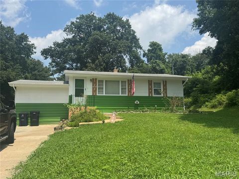 Photo of 10767 Oak Avenue, Unincorporated, MO 63114 (MLS # 26046978)