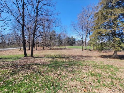 Tiny photo for 905 Mansion Road, Winfield, MO 63389 (MLS # 26014646)