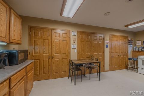 Tiny photo for 905 Mansion Road, Winfield, MO 63389 (MLS # 26014646)