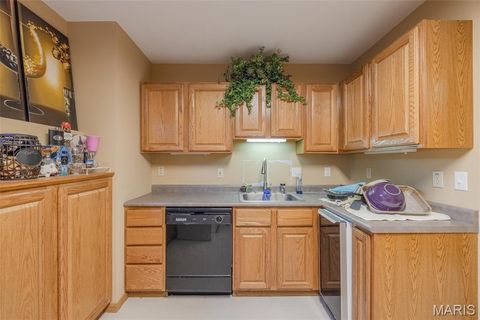 Tiny photo for 905 Mansion Road, Winfield, MO 63389 (MLS # 26014646)