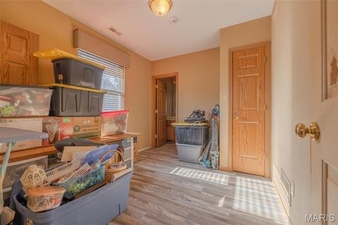 Tiny photo for 905 Mansion Road, Winfield, MO 63389 (MLS # 26014646)