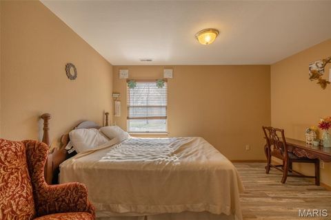 Tiny photo for 905 Mansion Road, Winfield, MO 63389 (MLS # 26014646)