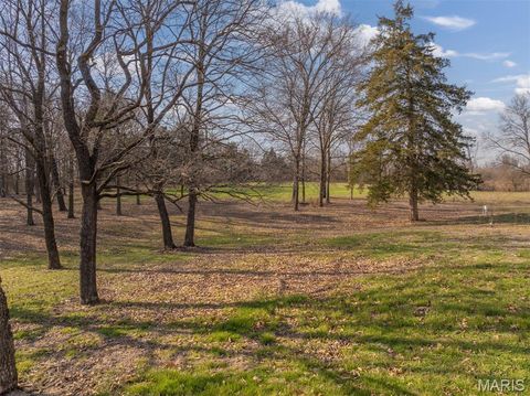 Tiny photo for 905 Mansion Road, Winfield, MO 63389 (MLS # 26014646)