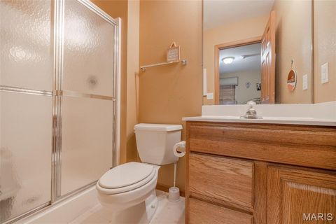 Tiny photo for 905 Mansion Road, Winfield, MO 63389 (MLS # 26014646)