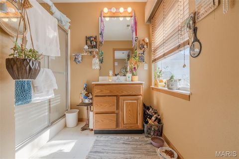 Tiny photo for 905 Mansion Road, Winfield, MO 63389 (MLS # 26014646)