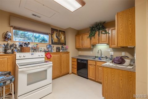 Tiny photo for 905 Mansion Road, Winfield, MO 63389 (MLS # 26014646)