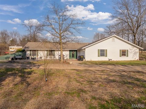 Photo of 905 Mansion Road, Winfield, MO 63389 (MLS # 26014646)