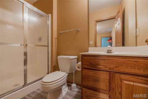 Tiny photo for 905 Mansion Road, Winfield, MO 63389 (MLS # 26014646)