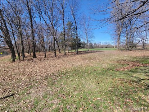Tiny photo for 905 Mansion Road, Winfield, MO 63389 (MLS # 26014646)