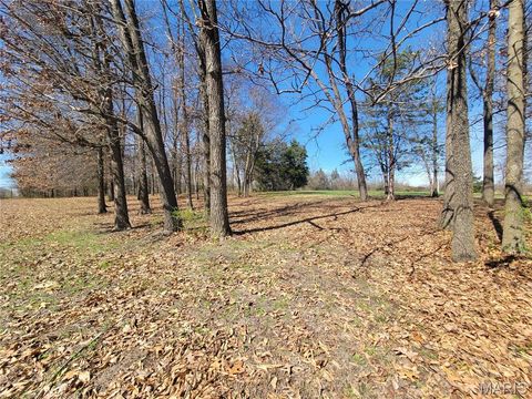 Tiny photo for 905 Mansion Road, Winfield, MO 63389 (MLS # 26014646)