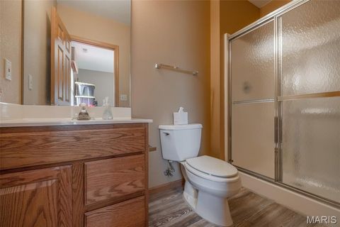 Tiny photo for 905 Mansion Road, Winfield, MO 63389 (MLS # 26014646)